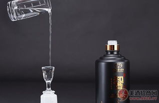 臺(tái)源智酒原一火熱招商中